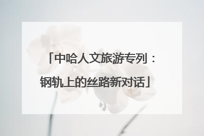 中哈人文旅游专列：钢轨上的丝路新对话