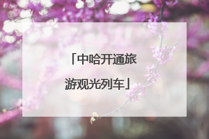 中哈开通旅游观光列车