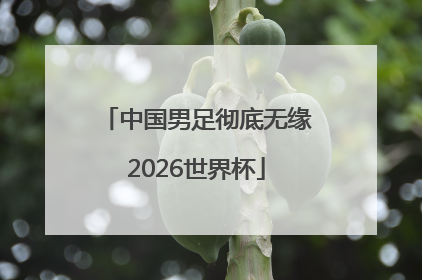 中国男足彻底无缘2026世界杯
