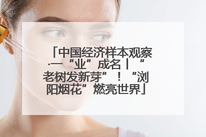 中国经济样本观察·一“业”成名丨“老树发新芽”！“浏阳烟花”燃亮世界