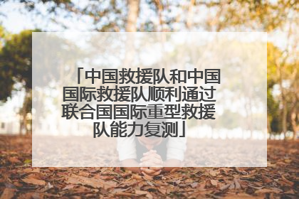 中国救援队和中国国际救援队顺利通过联合国国际重型救援队能力复测