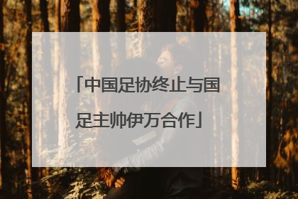中国足协终止与国足主帅伊万合作