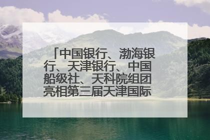 中国银行、渤海银行、天津银行、中国船级社、天科院组团亮相第三届天津国际航运展 输出航运服务“中国方案”