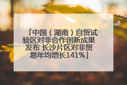 中国（湖南）自贸试验区对非合作创新成果发布 长沙片区对非贸易年均增长141%
