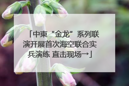 中柬“金龙”系列联演开展首次海空联合实兵演练 直击现场→