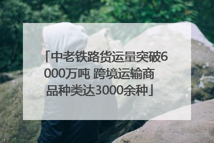 中老铁路货运量突破6000万吨 跨境运输商品种类达3000余种
