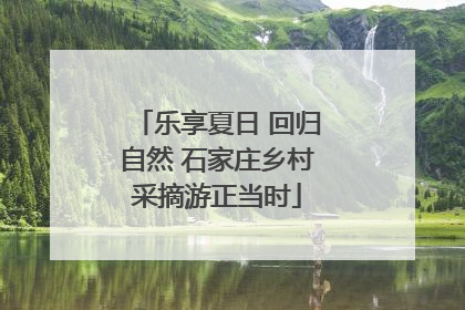 乐享夏日 回归自然 石家庄乡村采摘游正当时