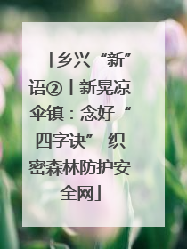 乡兴“新”语②丨新晃凉伞镇：念好“四字诀” 织密森林防护安全网