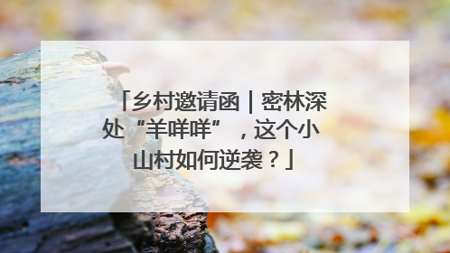 乡村邀请函｜密林深处“羊咩咩”，这个小山村如何逆袭？
