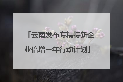云南发布专精特新企业倍增三年行动计划