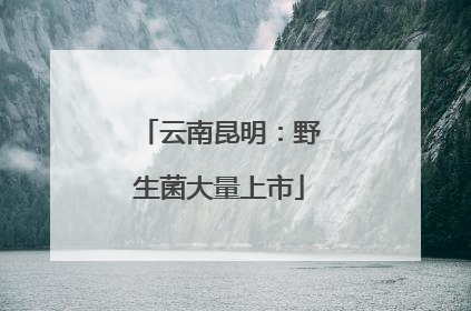 云南昆明：野生菌大量上市