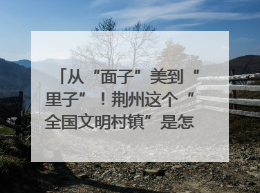 从“面子”美到“里子”！荆州这个“全国文明村镇”是怎样炼成的？
