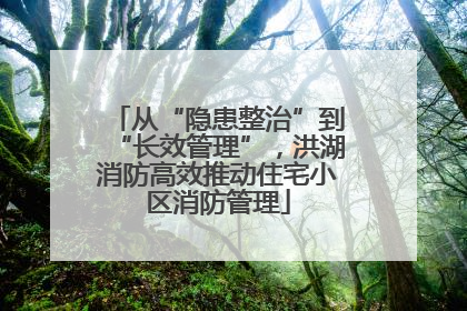 从“隐患整治”到“长效管理”，洪湖消防高效推动住宅小区消防管理
