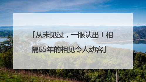 从未见过，一眼认出！相隔65年的相见令人动容