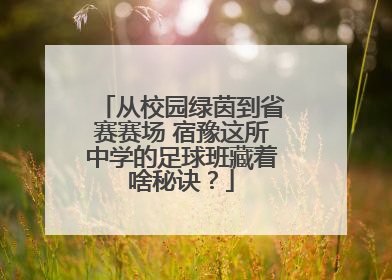 从校园绿茵到省赛赛场 宿豫这所中学的足球班藏着啥秘诀？