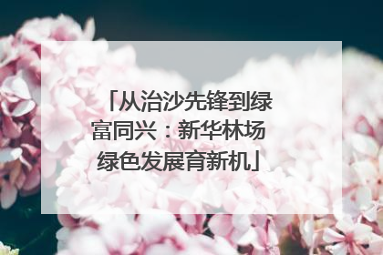 从治沙先锋到绿富同兴：新华林场绿色发展育新机