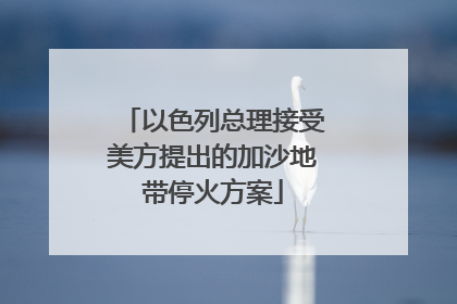 以色列总理接受美方提出的加沙地带停火方案