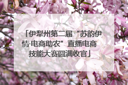 伊犁州第二届“苏韵伊情·电商助农”直播电商技能大赛圆满收官