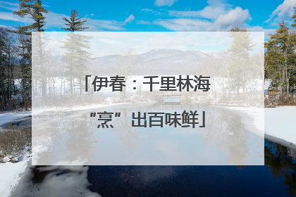 伊春：千里林海“烹”出百味鲜