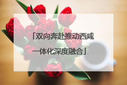 双向奔赴推动西咸一体化深度融合