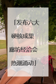 发布六大硬核成果 廊坊经洽会热潮涌动
