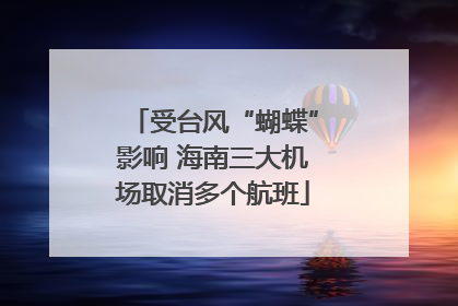 受台风“蝴蝶”影响 海南三大机场取消多个航班
