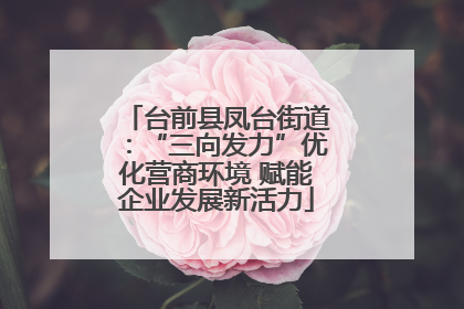 台前县凤台街道：“三向发力”优化营商环境 赋能企业发展新活力
