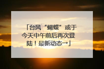 台风“蝴蝶”或于今天中午前后再次登陆！最新动态→