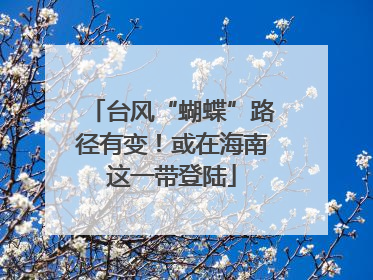台风“蝴蝶”路径有变！或在海南这一带登陆