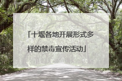 十堰各地开展形式多样的禁毒宣传活动