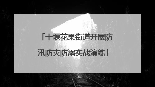 十堰花果街道开展防汛防灾防溺实战演练