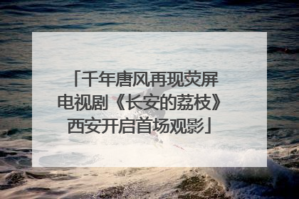 千年唐风再现荧屏 电视剧《长安的荔枝》西安开启首场观影