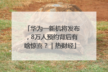 华为一新机将发布，8万人预约背后有啥惊喜？｜热财经
