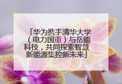 华为携手清华大学（电力国重）与岳能科技，共同探索智慧新能源集控新未来