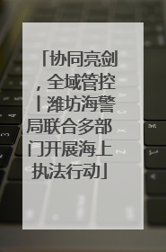 协同亮剑，全域管控丨潍坊海警局联合多部门开展海上执法行动