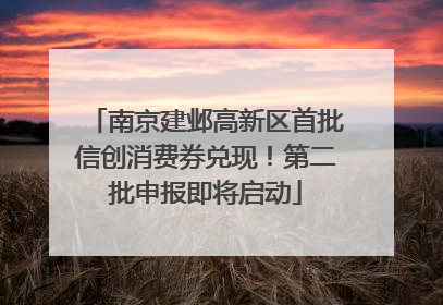 南京建邺高新区首批信创消费券兑现！第二批申报即将启动