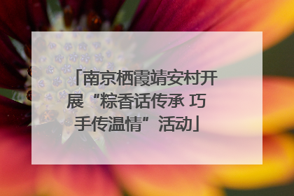 南京栖霞靖安村开展“粽香话传承 巧手传温情”活动