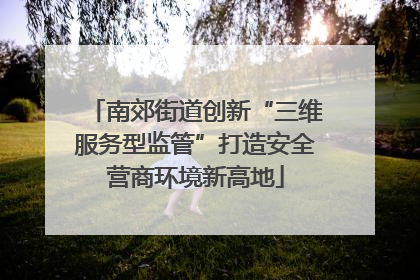 南郊街道创新“三维服务型监管”打造安全营商环境新高地