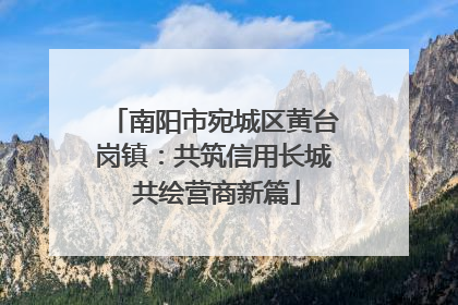 南阳市宛城区黄台岗镇：共筑信用长城 共绘营商新篇