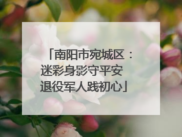 南阳市宛城区：迷彩身影守平安 退役军人践初心