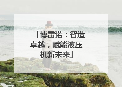 博雷诺：智造卓越，赋能液压机新未来