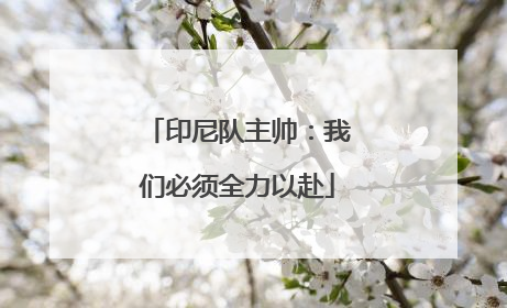印尼队主帅：我们必须全力以赴