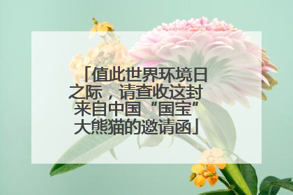 值此世界环境日之际，请查收这封来自中国“国宝”大熊猫的邀请函