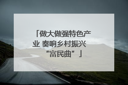 做大做强特色产业 奏响乡村振兴“富民曲”