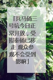 兵马俑三号坑今日正常开放，受损秦俑已移走 观众参观不会受到影响
