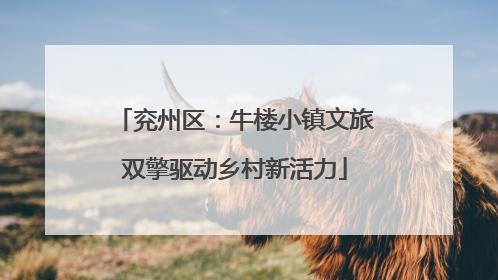 兖州区：牛楼小镇文旅双擎驱动乡村新活力