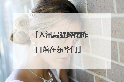 入汛最强降雨昨日落在东华门