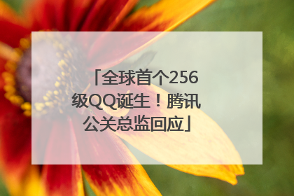 全球首个256级QQ诞生！腾讯公关总监回应