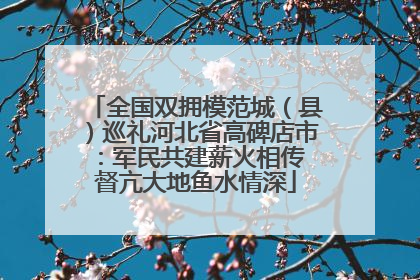 全国双拥模范城（县）巡礼河北省高碑店市：军民共建薪火相传 督亢大地鱼水情深