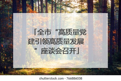 全市“高质量党建引领高质量发展”座谈会召开